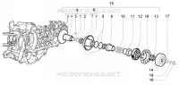 Driven pulley