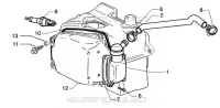 Oil drain valve