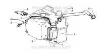 Oil drain valve