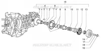 Driven pulley