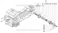 Driven pulley