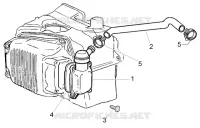 Oil drain valve