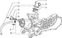 Cylinder head and induction pipe