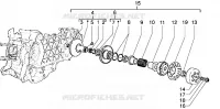 Driven pulley