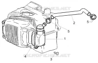 Oil drain valve