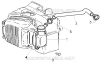 Oil drain valve
