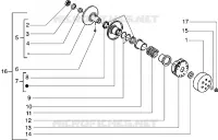 Driven pulley