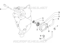 Cooler pump