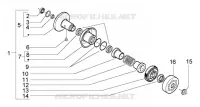 Driven pulley