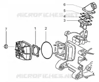 Cylinder head and induction pipe