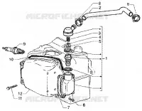 Oil drain valve