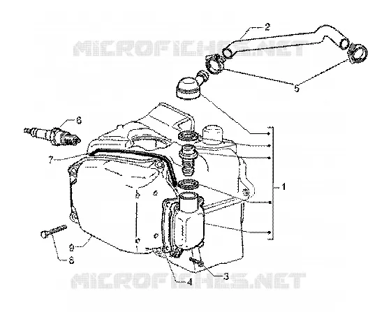 Oil drain valve