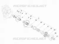 Driven pulley