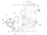 Cooler pump