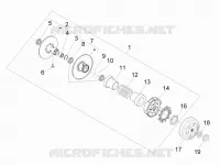 Driven pulley