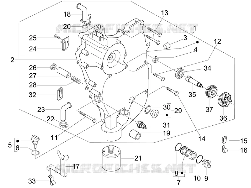 Flywheel magneto cover - Oil filter