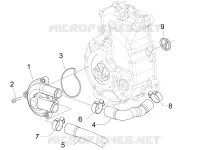 Cooler pump