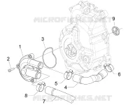 Cooler pump