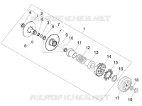 Driven pulley