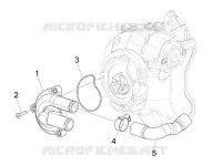 Cooler pump