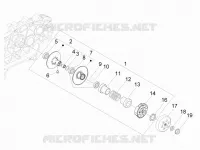 Driven pulley