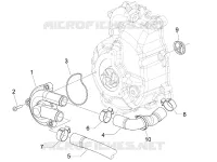 Cooler pump