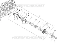 Driven pulley