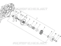 Driven pulley