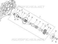 Driven pulley