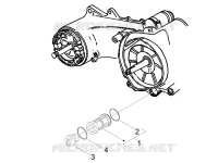 Flywheel magneto cover - Oil filter