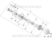 Driven pulley
