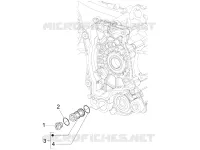 Flywheel magneto cover - Oil filter