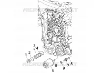 Flywheel magneto cover - Oil filter
