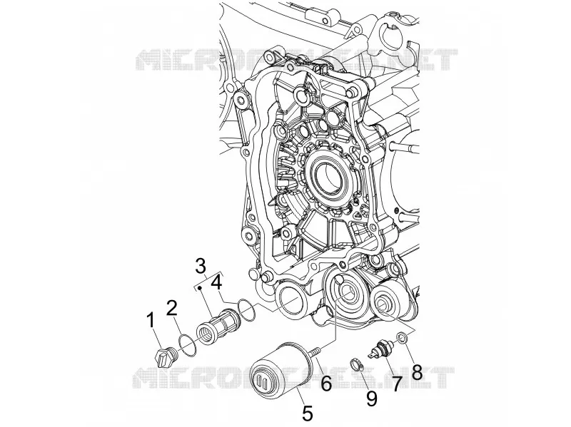 Flywheel magneto cover - Oil filter