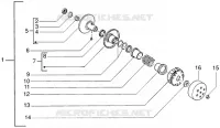 Driven pulley