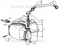 Oil drain valve
