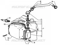 Oil drain valve