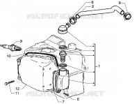Oil drain valve