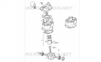 Cylinder - Piston