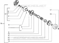 Driven pulley