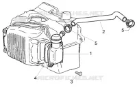 Oil drain valve