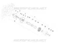 Driven pulley