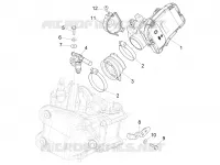 Throttle body - Injector - Inlet manifold