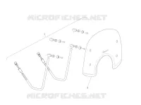 Windshield - Glass