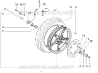 Front wheel