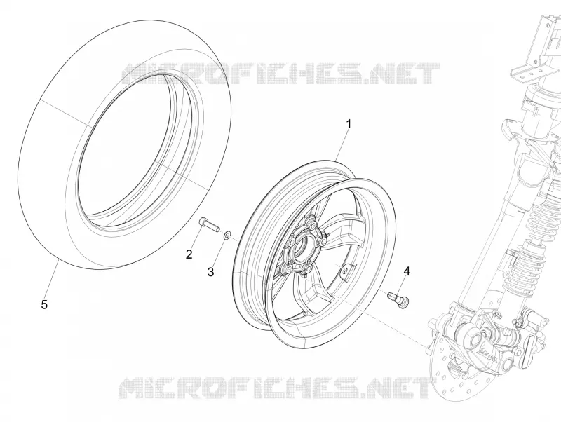 Front wheel