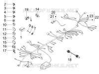 Main cable harness